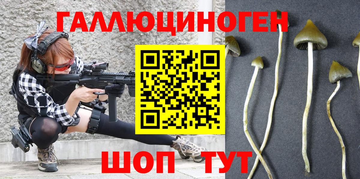 Галлюциногенные грибы прущие грибы Краснокаменск